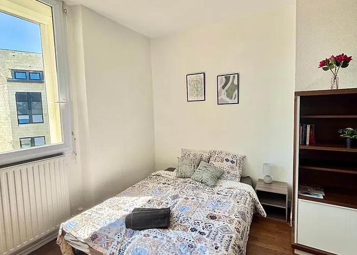 Appartamento Grand T3 Lumineux En Centre Laval (Mayenne)